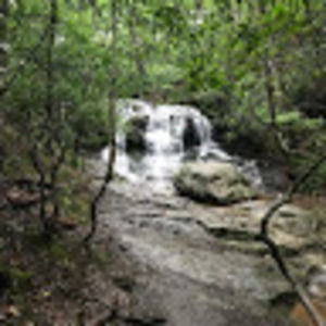 Meet your Posher, Kaitlin